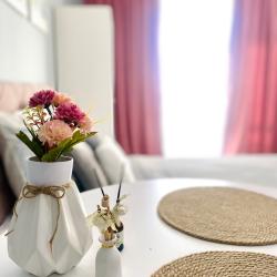 Апартаменты студия с 1 двуспальной кроватью