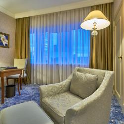 Номер полулюкс с 1 двуспальной кроватью