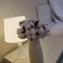 Фото Отель Центральный гостевой дом