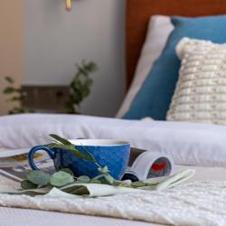 фото 63 Leruka Home (Лерука Хоум) на проспекте Стачек
