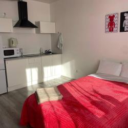 1-комнатные апартаменты студия