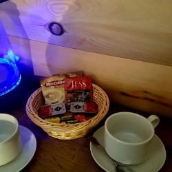Номер люкс с 2 односпальными кроватями