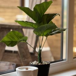 Фото Отель ОранжХаус