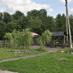 Фото Отель Курский соловей