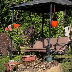 Фото Отель рис