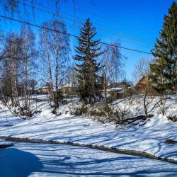 Фото Отель Гостевой дом Брейтово