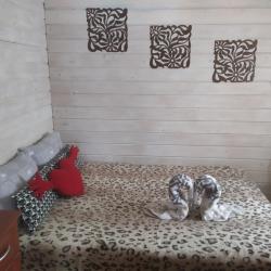 Фото Отель Тихий уголок