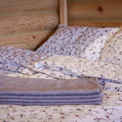 Фото Отель Алавойне