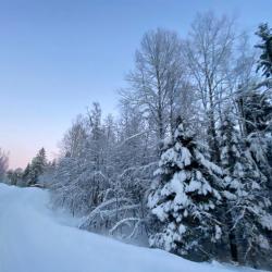 Фото Отель Берлога