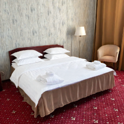 Номер люкс с 1 двуспальной кроватью