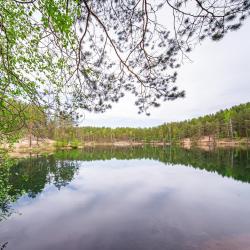 Фото Отель Радужный лес