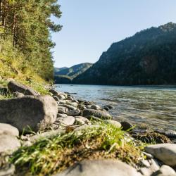 Фото Отель Altay Bereg (Алтай Берег)