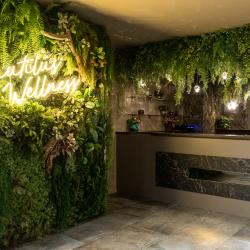 Фото Отель Green House Detox & SPA Hotel (Грин Хаус Детокс и Спа)