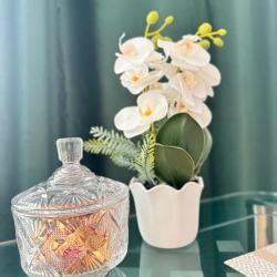 1-комнатные апартаменты улучшенные