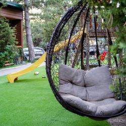 Фото Отель Лодж Алтай