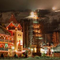 Фото Отель 33 Медведя