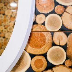 Фото Отель Шумак