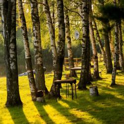 Фото Отель Дача Липенка