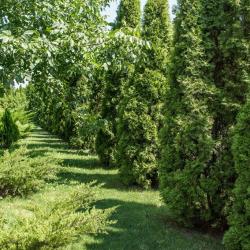 Фото Отель Голубое Озеро