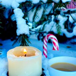 Фото Отель Дом