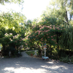 Фото Отель Пансионат Песчаный берег