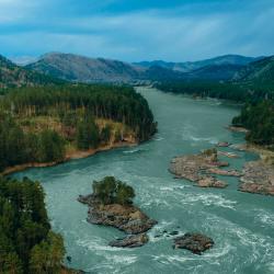 Фото Отель Хвоя в горах