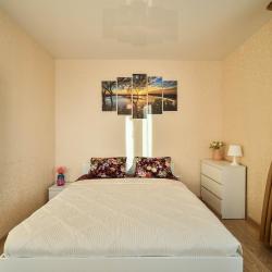 Фото Апартаменты на улице Дудинская 2 корпус Б