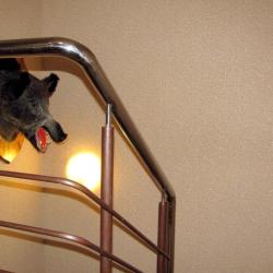 Фото Мотель М7