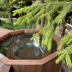 Фото Отель Финский Лес