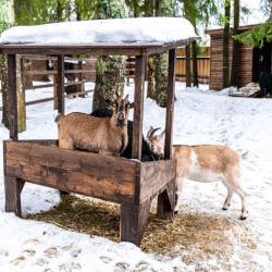 Фото Отель Русские Сезоны Вятские Дачи 5*