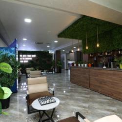 Фото Отель Chinor Hotel (Чинор)