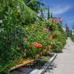 Фото Отель Вилла Валентина