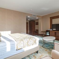 Фото Отель Best Western Plus Astana (Бест Вестерн плюс Астана)
