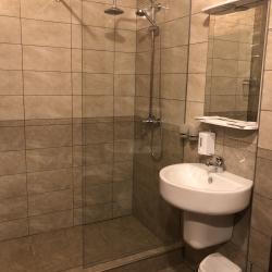 Номер стандарт с 1 двуспальной кроватью (мансарда)