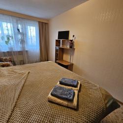 Фото Апартаменты Надежда на улице Слепнева 17