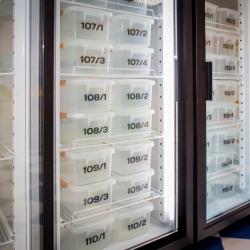 Фото Отель Борода