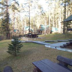 Фото Отель Кедровый остров