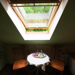 Фото Отель Золотой Гусь