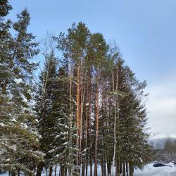 Фото Отель Канада