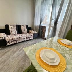 1-комнатные апартаменты стандарт Пионерская 54