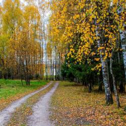 Фото Отель Хаски Хаус