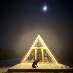 Фото Отель Афрейм Птички