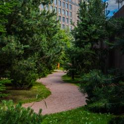 фото 24 SV Loft Apartments (СВ Лофт Апартментс)