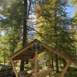 Фото Отель Тайга-House (Хаус)