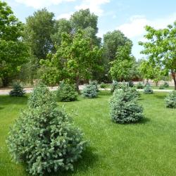 Фото Отель Рыболовно-охотничья база Поплавок на Ахтубе