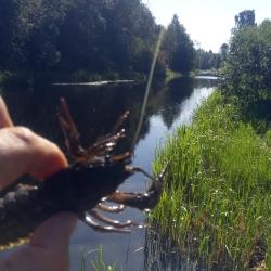 Фото Отель Сумериа Village Парк дом-баня для отдыха на берегу