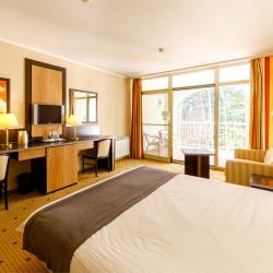 Номер комфорт с 1 двуспальной кроватью (мансарда)