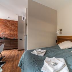 1-комнатные апартаменты стандарт Loft C