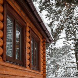 Фото Отель База отдыха Сосны