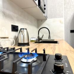 Апартаменты люкс Орджоникидзе 97 корпус 1